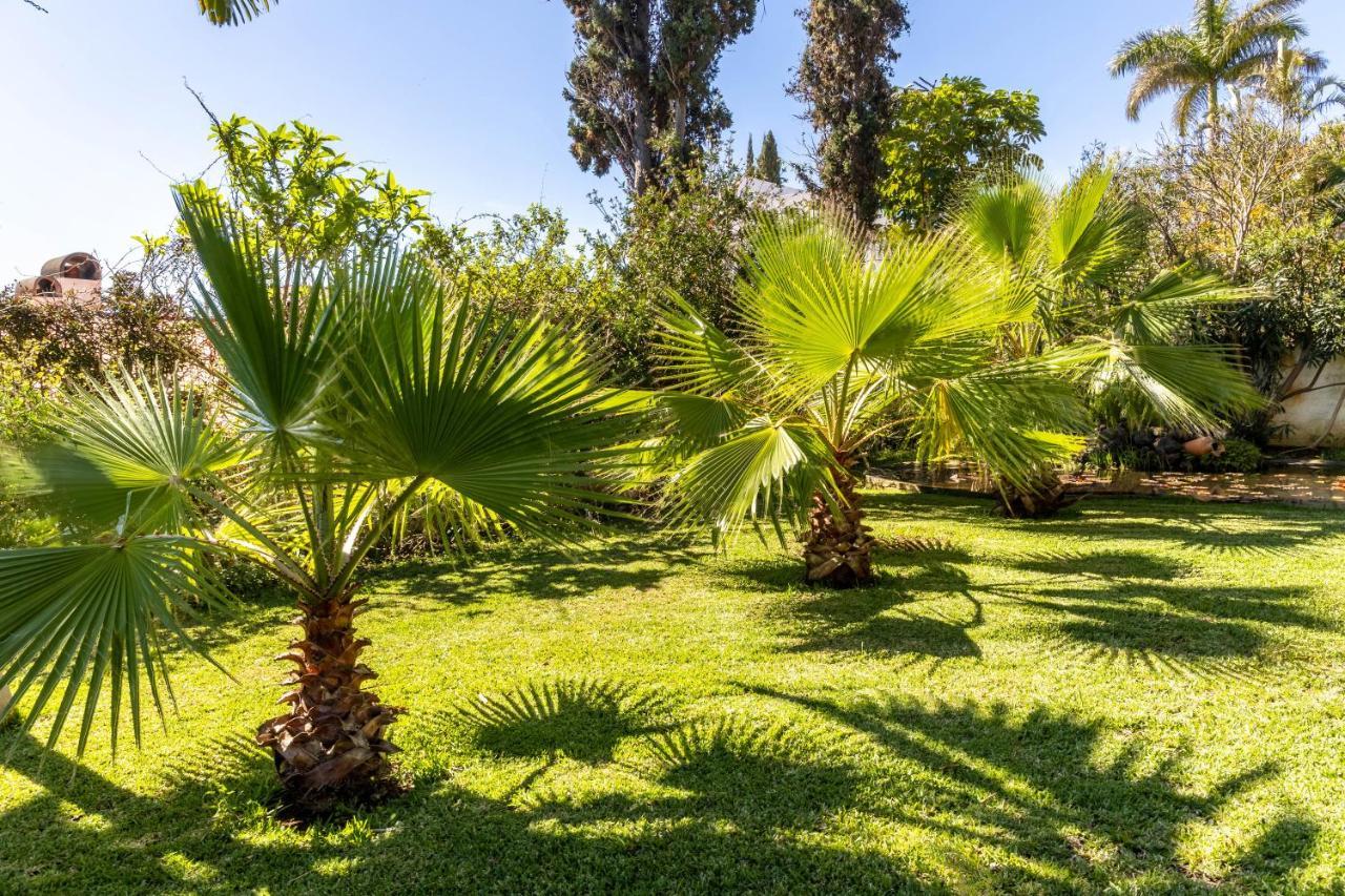 Villa Echium T1 Canico  Exterior photo