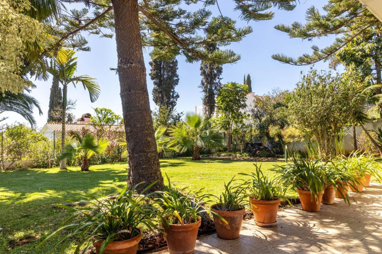 Villa Echium T1 Canico  Exterior photo